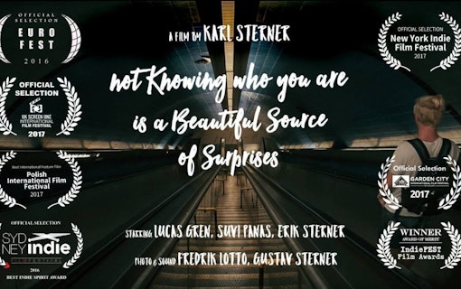 Not Knowing Who You Are Is a Beautiful Source of Surprises (2016)