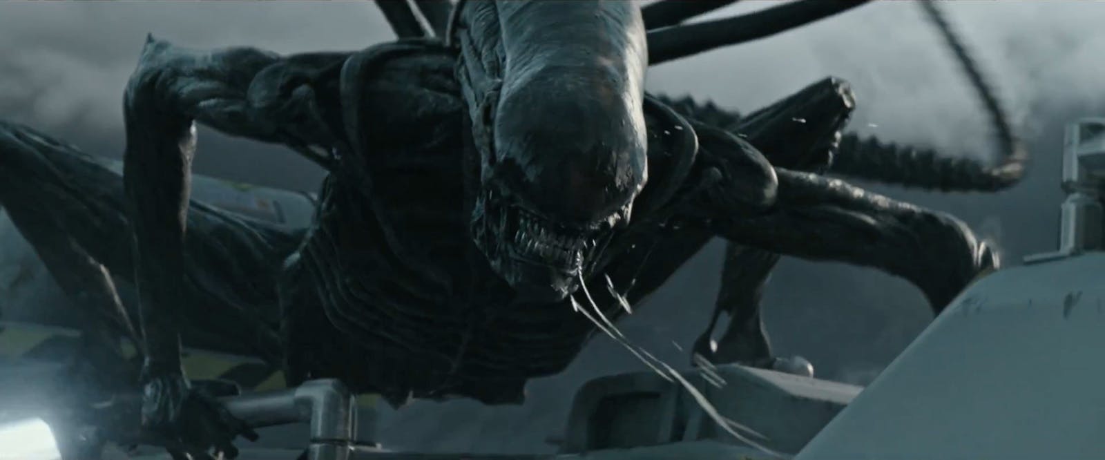 EXTRA: Han regisserar nya Alien