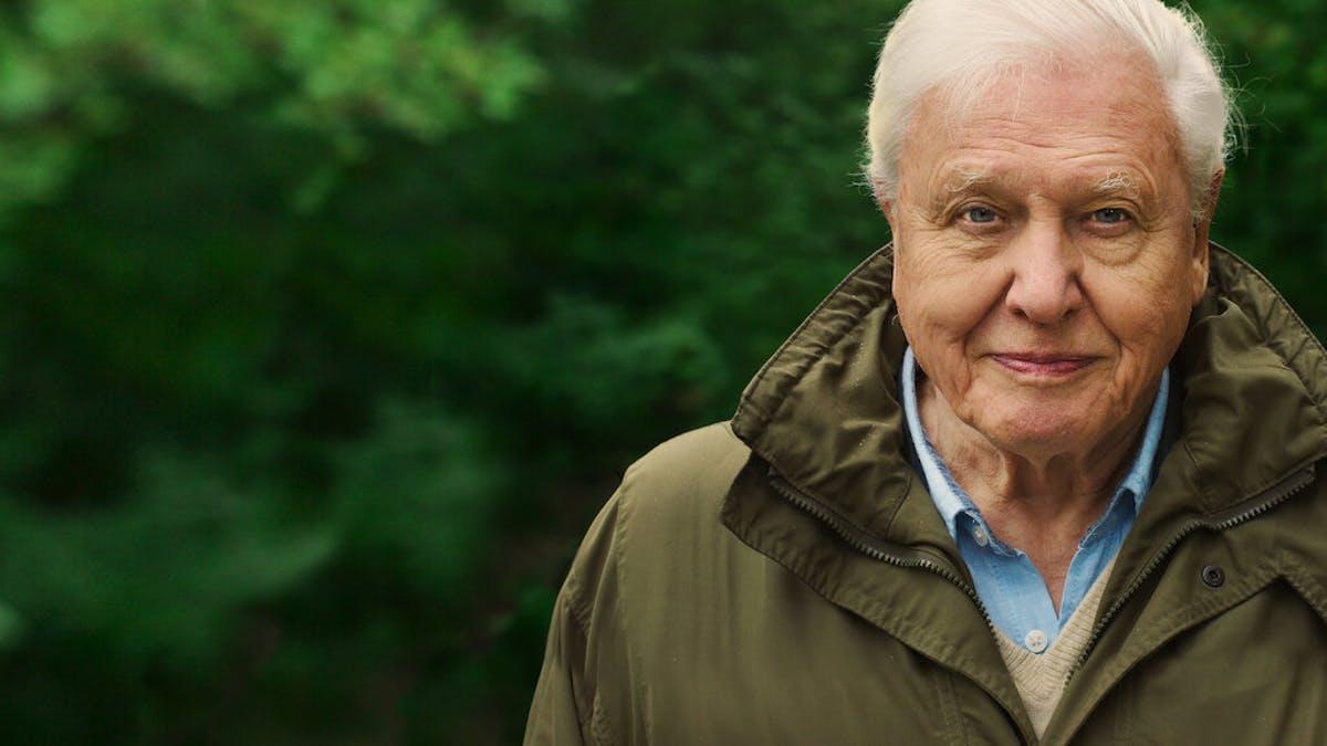 David Attenborough i A Life on Our Planet. Foto: Netflix