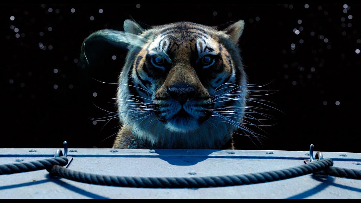 Tigerns år: De 10 bästa tigrarna på film och tv