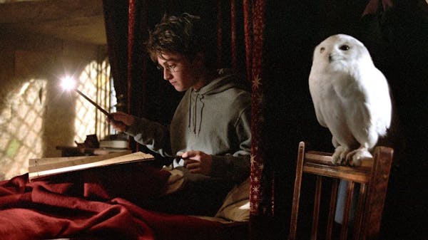 Harry Potter och ugglan Hedwig