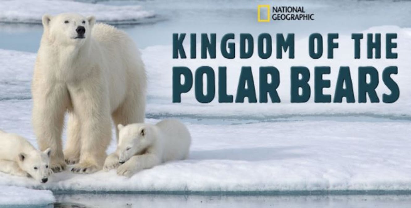 Polar Bear. Foto: Disney+
