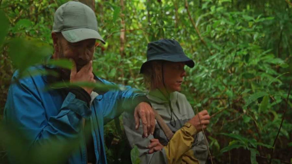 Lasse Kronér och Emma Igelström stöter på en kajman i djungeln